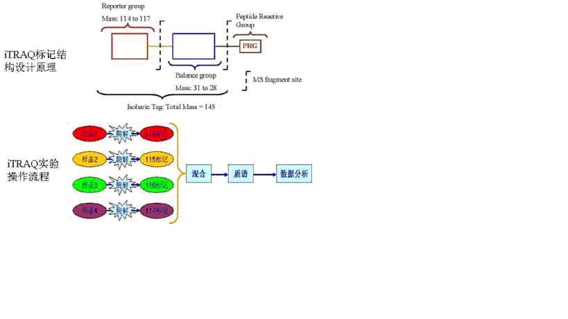 GA黄金甲(中国游)最新官方网站