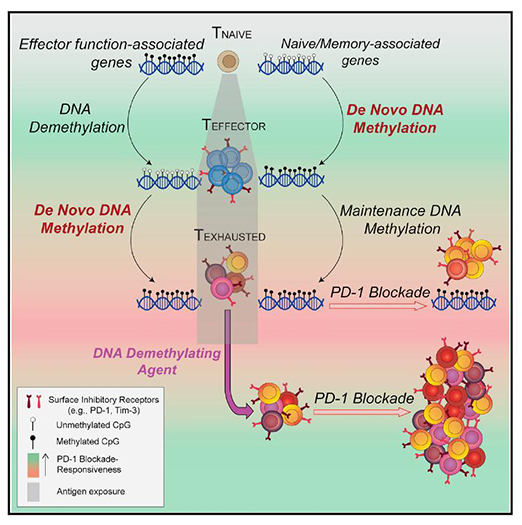 GA黄金甲(中国游)最新官方网站