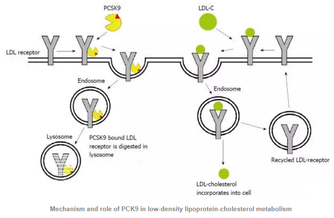 GA黄金甲(中国游)最新官方网站
