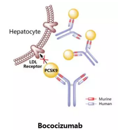 GA黄金甲(中国游)最新官方网站