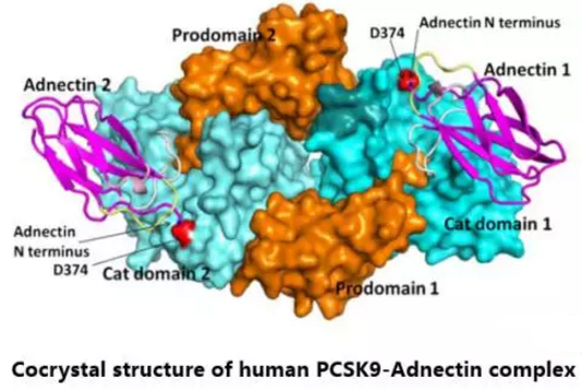 GA黄金甲(中国游)最新官方网站