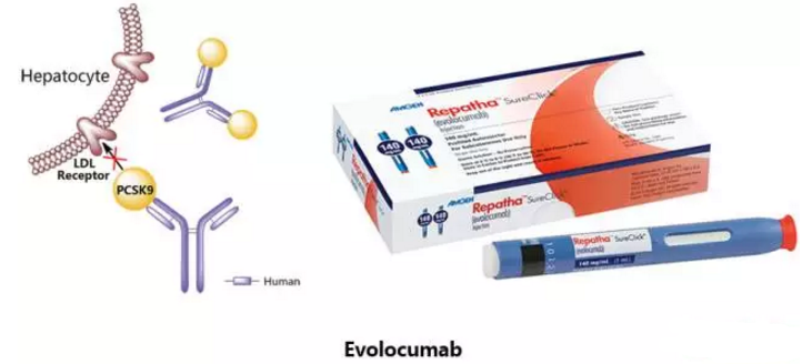 GA黄金甲(中国游)最新官方网站