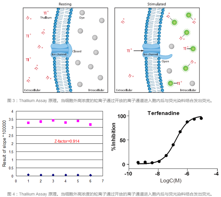 GA黄金甲(中国游)最新官方网站