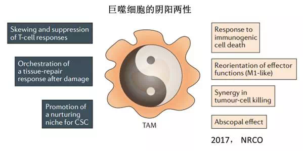 GA黄金甲(中国游)最新官方网站