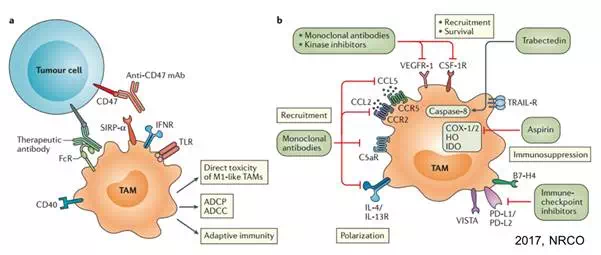 GA黄金甲(中国游)最新官方网站