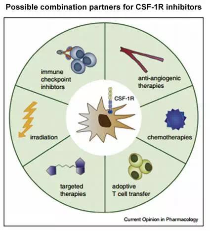 GA黄金甲(中国游)最新官方网站