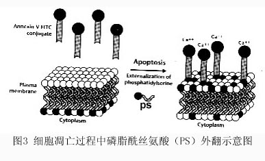 GA黄金甲(中国游)最新官方网站