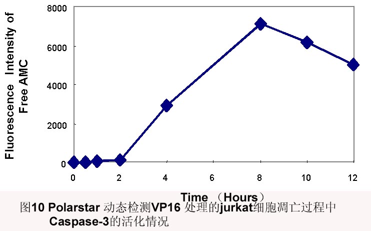 GA黄金甲(中国游)最新官方网站