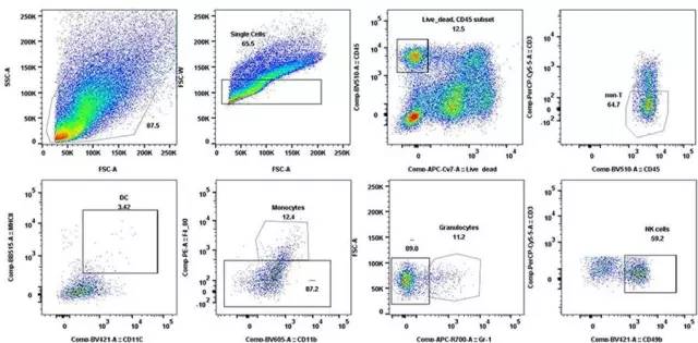 GA黄金甲(中国游)最新官方网站