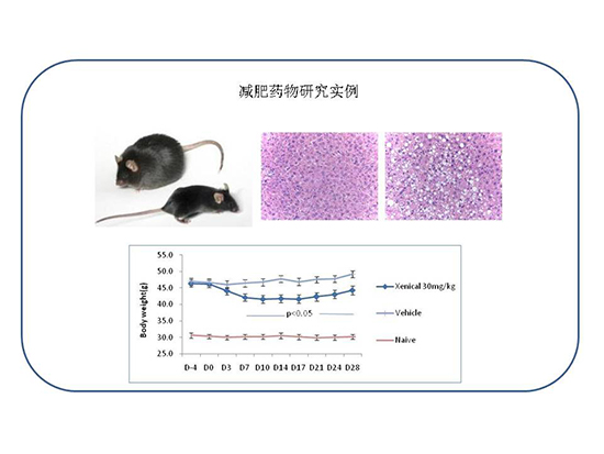 GA黄金甲(中国游)最新官方网站