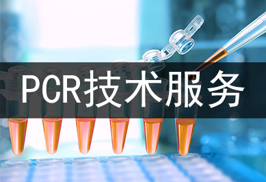 PCR手艺效劳及其运用