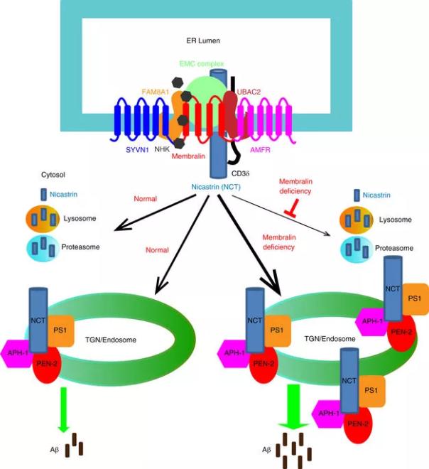 GA黄金甲(中国游)最新官方网站