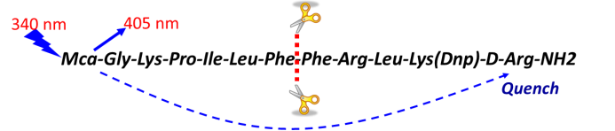 GA黄金甲(中国游)最新官方网站
