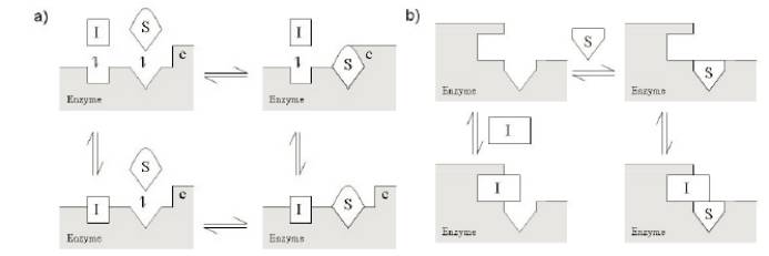 GA黄金甲(中国游)最新官方网站