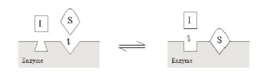 GA黄金甲(中国游)最新官方网站