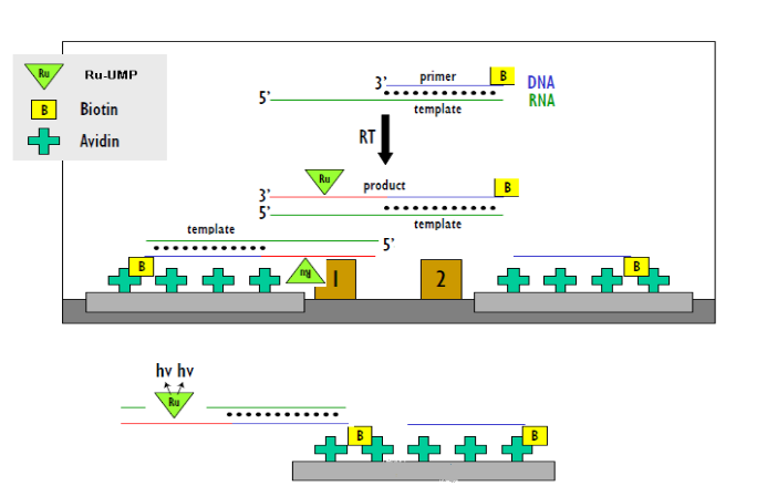 GA黄金甲(中国游)最新官方网站