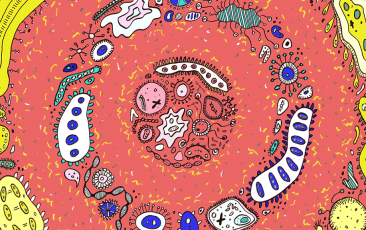 GA黄金甲(中国游)最新官方网站