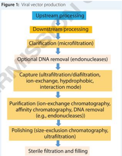 GA黄金甲(中国游)最新官方网站