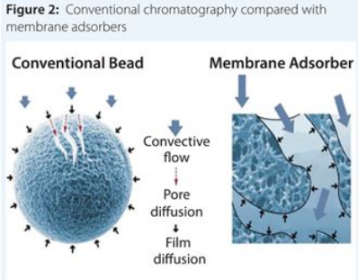 GA黄金甲(中国游)最新官方网站
