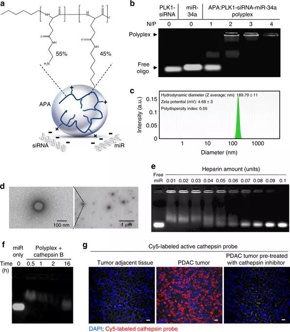 GA黄金甲(中国游)最新官方网站