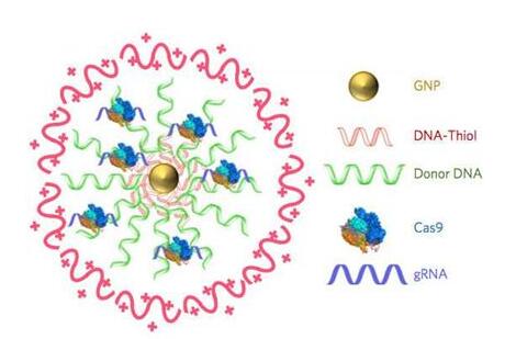 GA黄金甲(中国游)最新官方网站