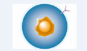 GA黄金甲(中国游)最新官方网站