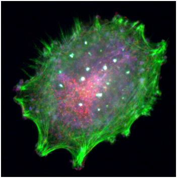 GA黄金甲(中国游)最新官方网站