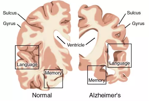 GA黄金甲(中国游)最新官方网站