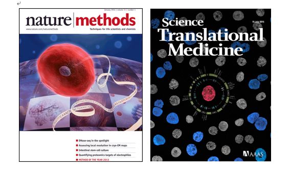 GA黄金甲(中国游)最新官方网站
