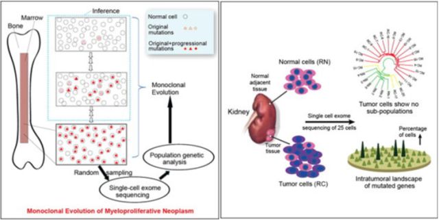 GA黄金甲(中国游)最新官方网站