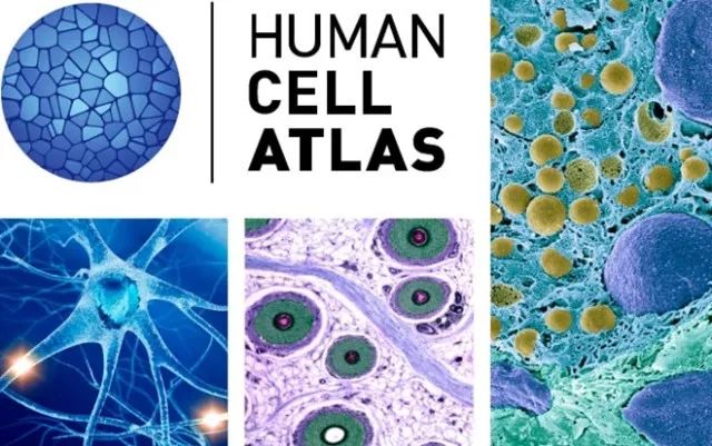 GA黄金甲(中国游)最新官方网站