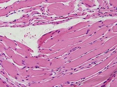GA黄金甲(中国游)最新官方网站