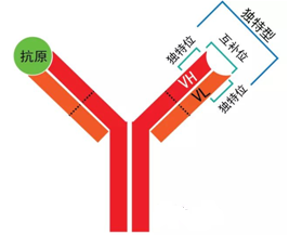 GA黄金甲(中国游)最新官方网站