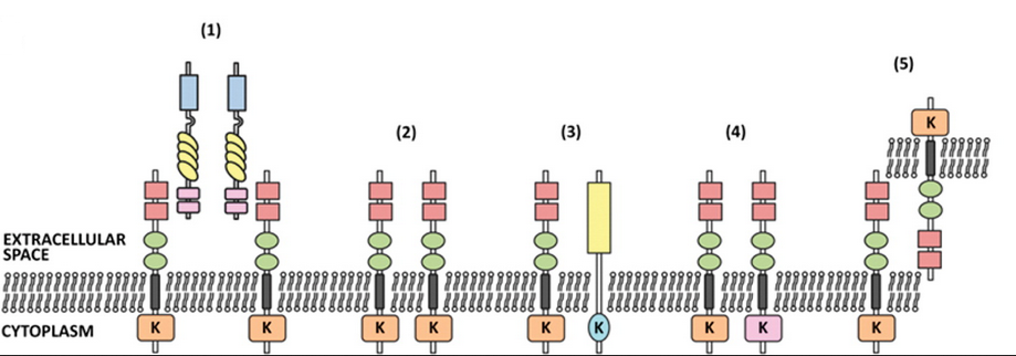 GA黄金甲(中国游)最新官方网站