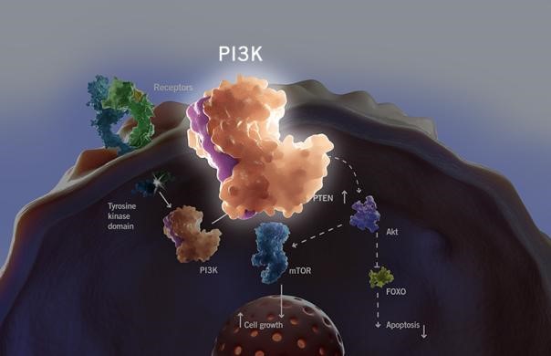 GA黄金甲(中国游)最新官方网站