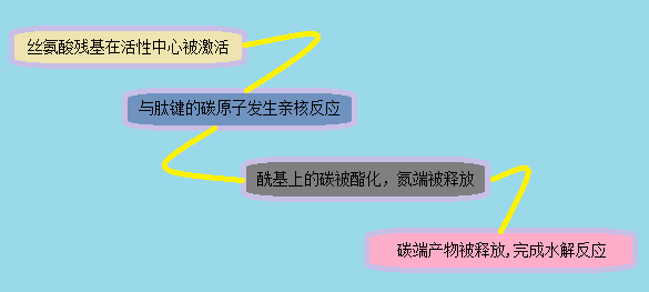 GA黄金甲(中国游)最新官方网站