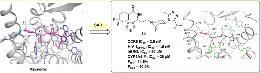 GA黄金甲(中国游)最新官方网站