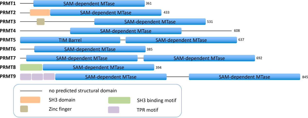 GA黄金甲(中国游)最新官方网站
