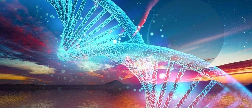 GA黄金甲(中国游)最新官方网站