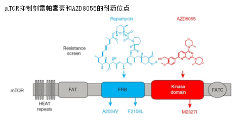 GA黄金甲(中国游)最新官方网站