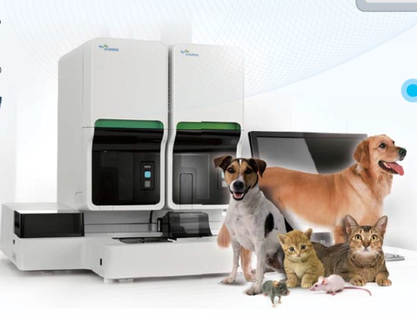 GA黄金甲(中国游)最新官方网站