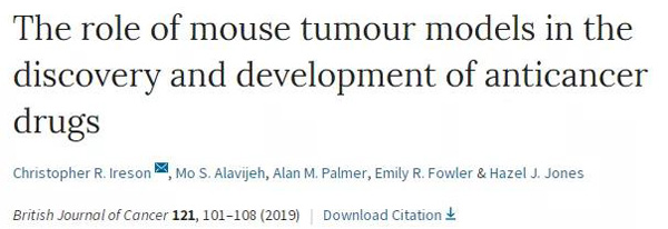 临床前小鼠模子怎样。。。？？？？