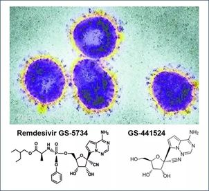 基于细胞因子风暴和免疫炎症反应综合征，，，，许多免疫相关靶点也可以列为冠状病毒的靶点。。。