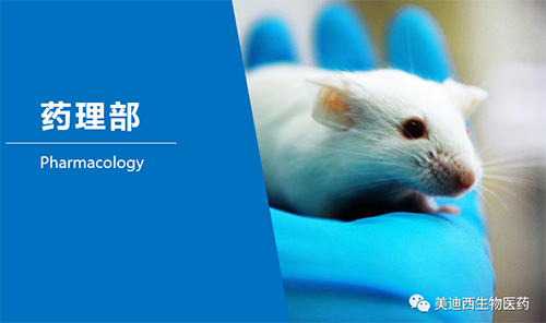 GA黄金甲药理部开发了肺癌、结肠癌、胃癌等12种PDX模子。。。。。。。