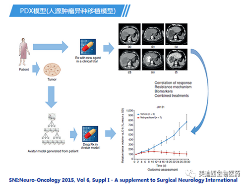 GA黄金甲PDX模子