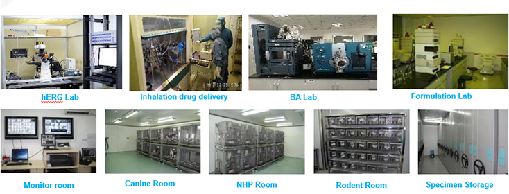 GA黄金甲毒理研究部装备