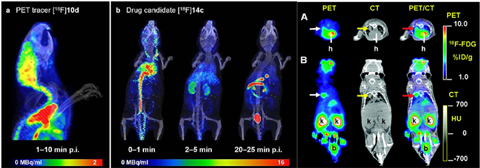 功效与结构连系