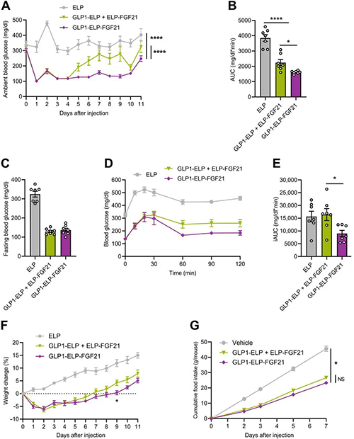 GLP1-ELP-FGF21双激动剂形式在治疗上优于GLP-1 / FGF21单激动剂混淆物 GA黄金甲