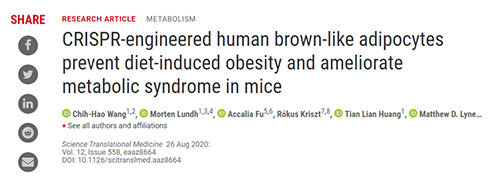 Science|聚焦CRISPR：刷新脂肪细胞，，，，，“躺瘦”可能要成真了？？？