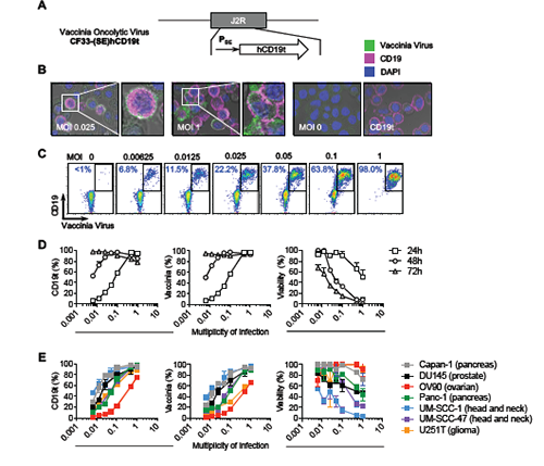 GA黄金甲(中国游)最新官方网站